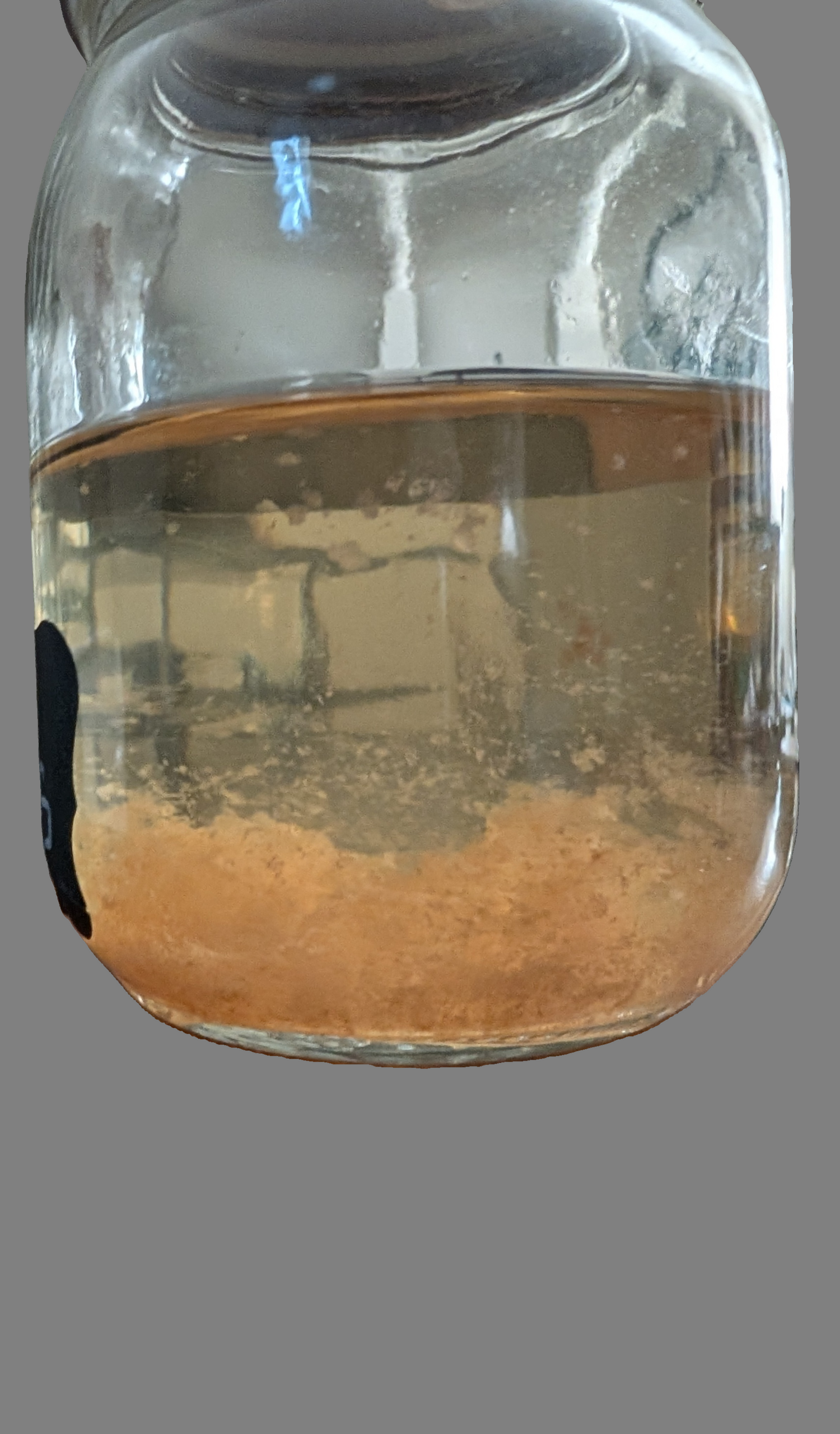 Liquid Cultures