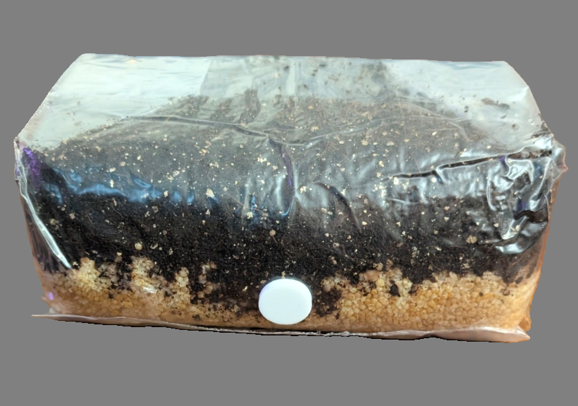 5lb All in One Grow Bag For Poo Lovers