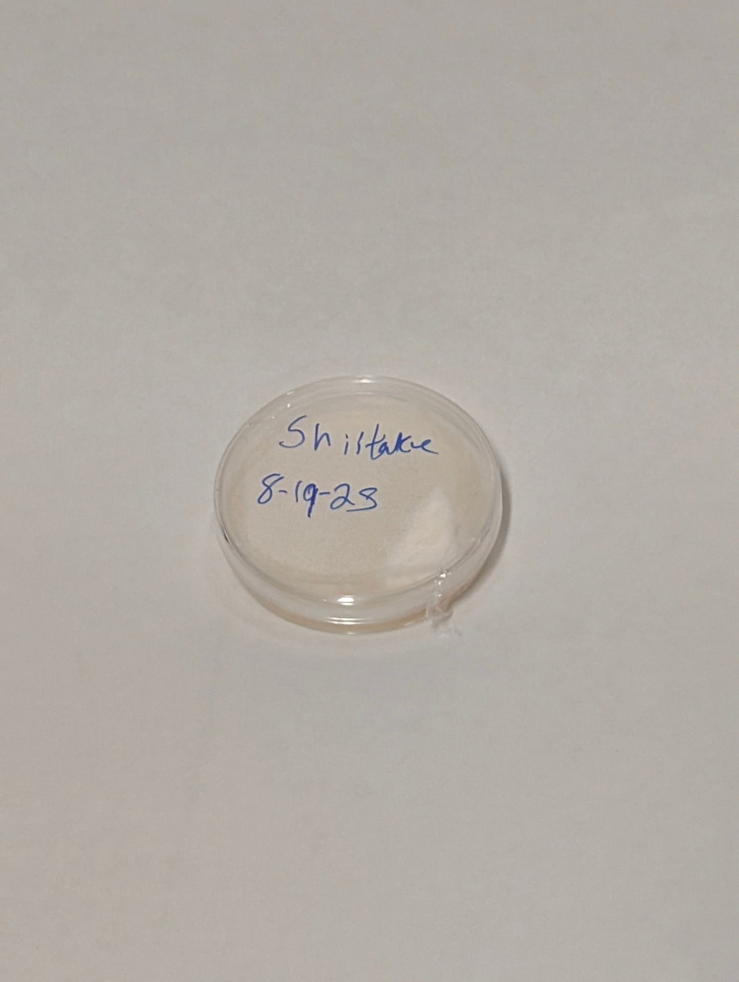 Shiitake Genetic Bank