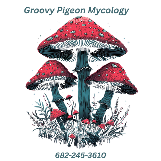 Groovy Pigeon Shirt