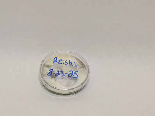Reishi Genetic Bank