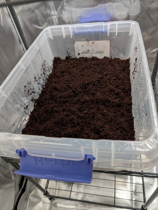 Coir/Vermiculite Substrate (Pasteurized)