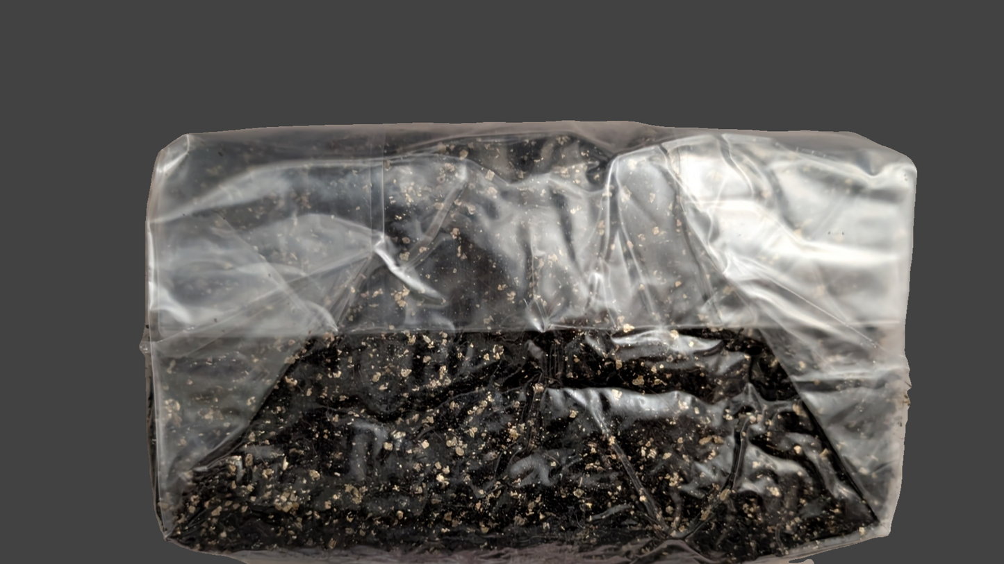 3lb Pre Inoculated Mushroom grow Bags