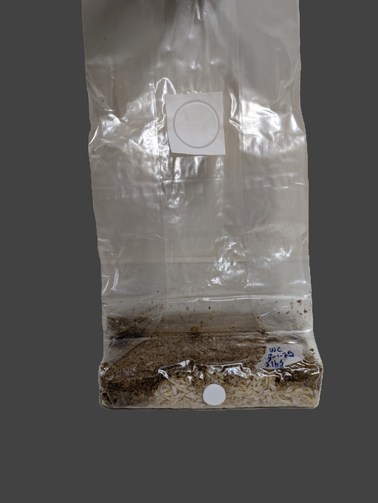 5lbs Hardwood All in One Grow Bag